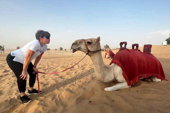 Abu Dhabi Evening Desert Safari Tour With Shows and BBQ Dinner - Inclusions