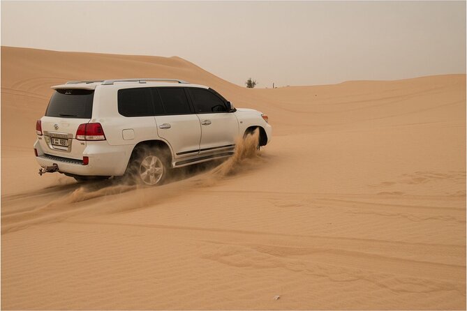 Abu Dhabi Morning Desert Safari – Private Car
