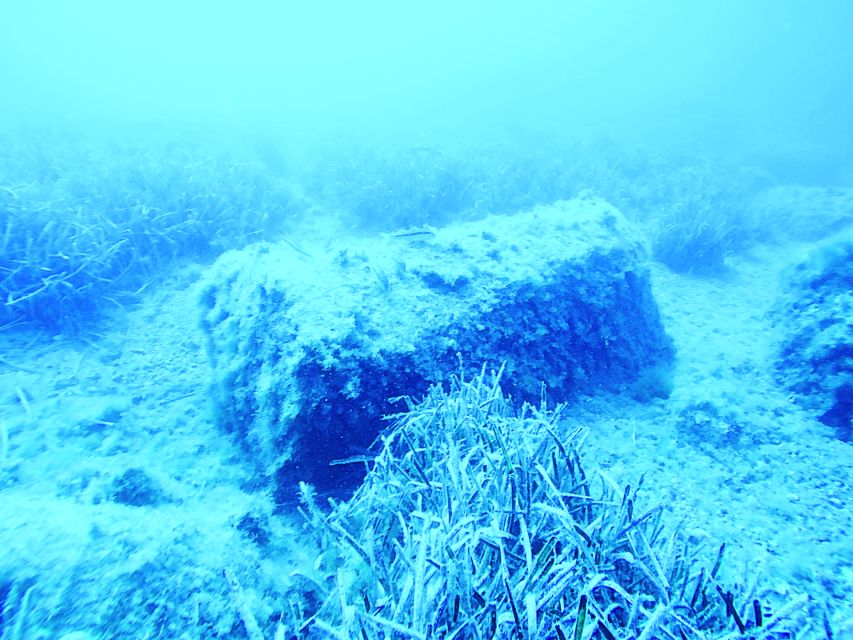 Acireale Castle Freediving Snorkeling With Small Sicilian Lunch