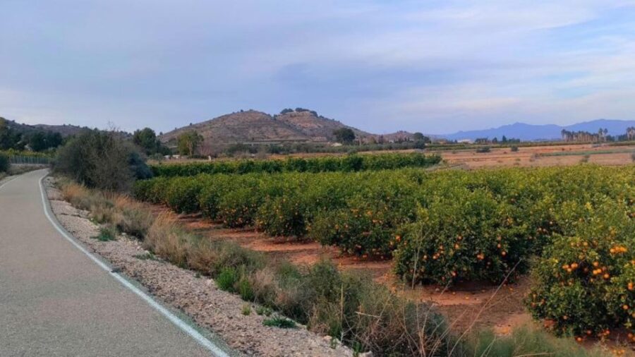 Active Bike Tour: River Turia Natural Park. - Bike Tour Overview