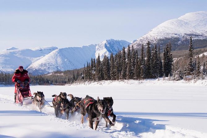 Active Winter Adventure in Yukon | 5 Days - Tour Overview