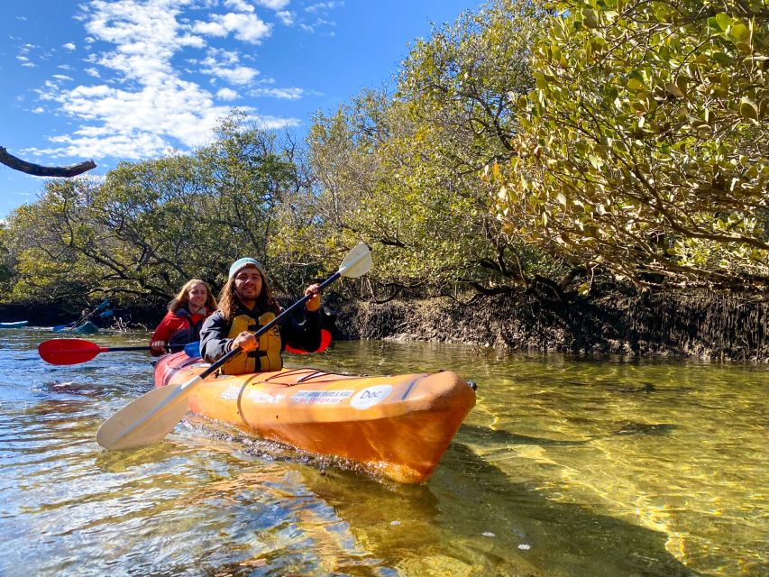 11 Best Canoe And Kayak Experiences In Adelaide