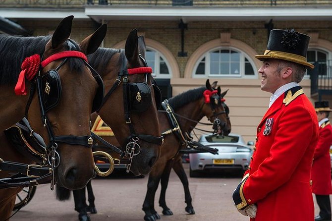 Admission Ticket to the Royal Mews, Buckingham Palace - Overview of the Royal Mews