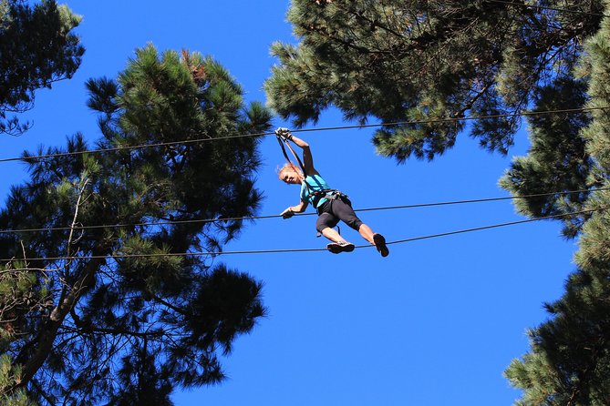 Adrenalin Forest Obstacle Course in Wellington