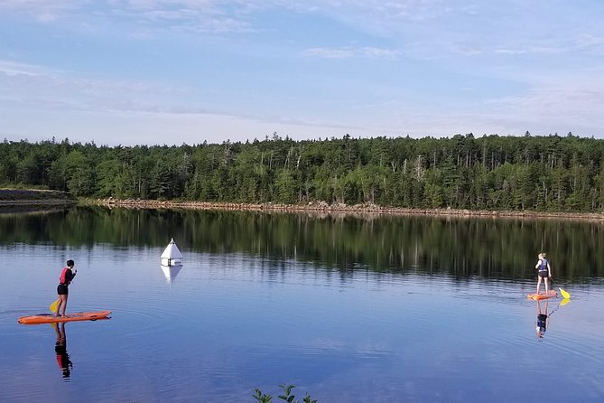 2 Best Canoe And Kayak Experiences In Halifax