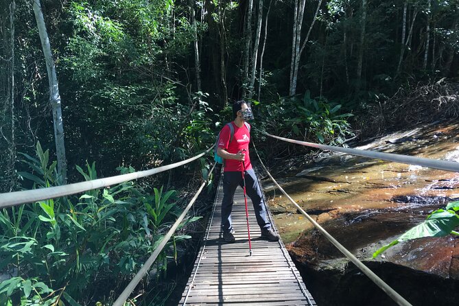 Adventure & History at Tijuca Forest (Small Group or Private)