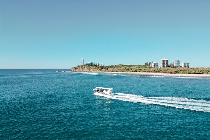 Adventure Rafting – Mooloolaba Turtle Tour