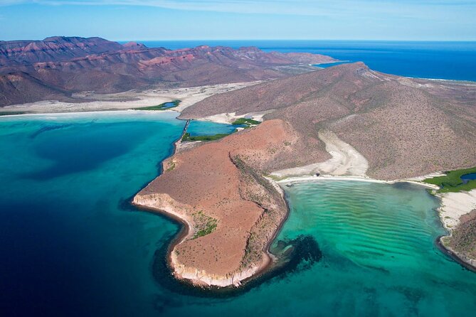 Adventure to Espiritu Santo Island: Snorkel With Sea Lions and Beach