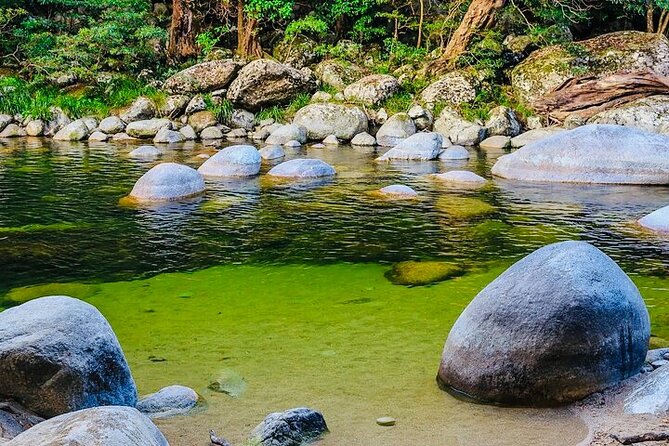 Affordable Return Mossman Gorge From Port Douglas Transfers