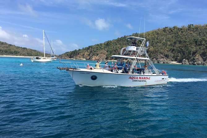 Afternoon Snorkeling Adventure in St Thomas - Wildlife and Experience