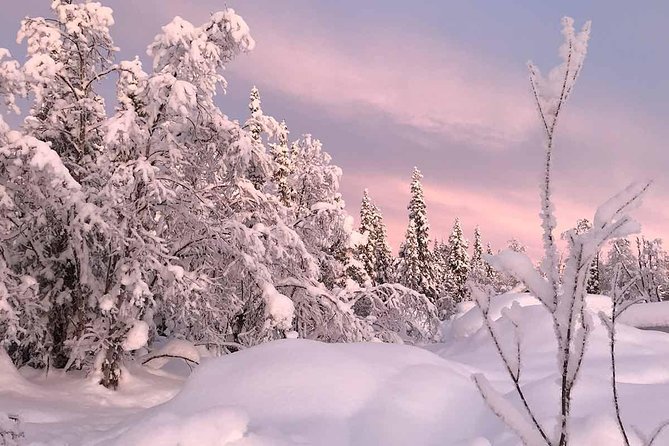 Afternoon Snowmobile Tour