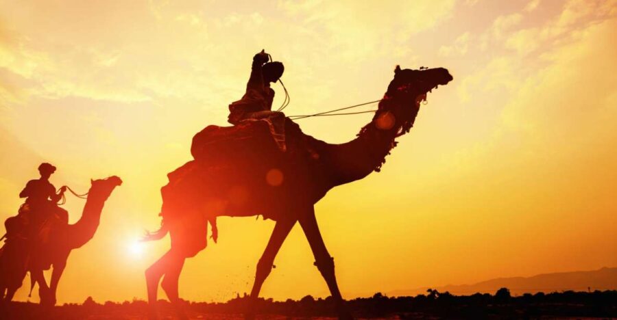 Agadir: Camel Ride With Tea & BBQ Dinner Option