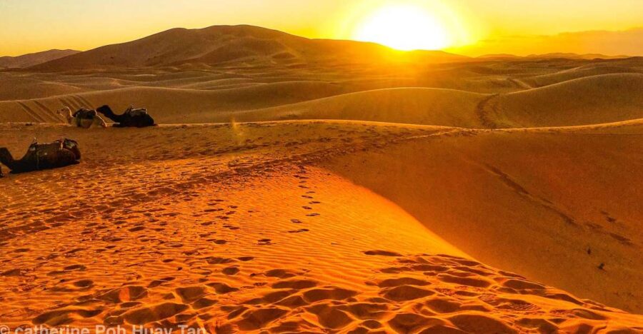Agadir or Taghazout: 2-Day Zagora Desert Guided Tour