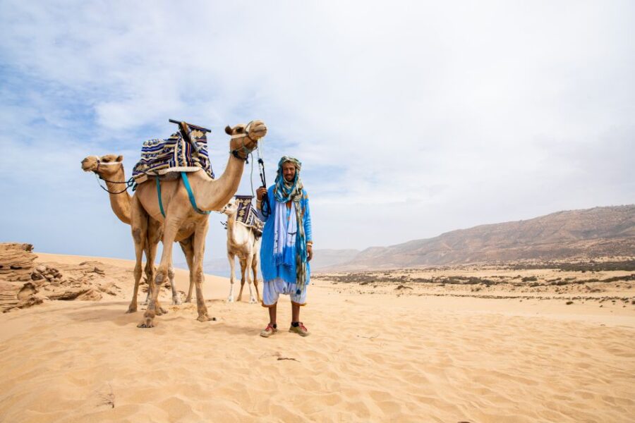 Agadir or Taghazout : Camel Ride in Desert Sand Dunes