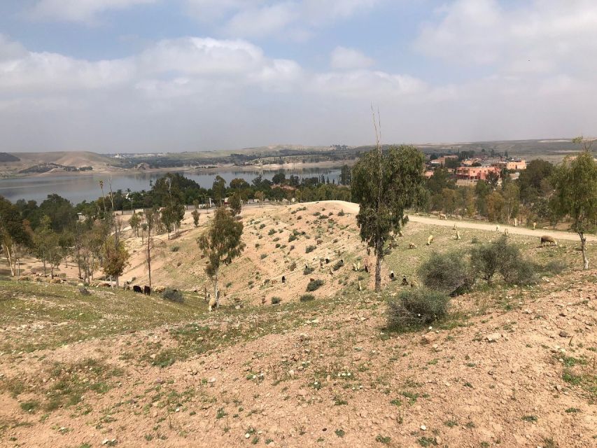 Agadir or Taghazout : Paradise Valley ATV Quad Biking Trip