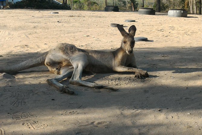 Agnes to 1770 Scooter Hire - Overview and Location