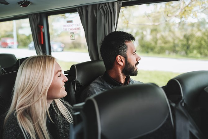 Airport Transfer in Iceland From Keflavik Airport to Reykjavik City One Way