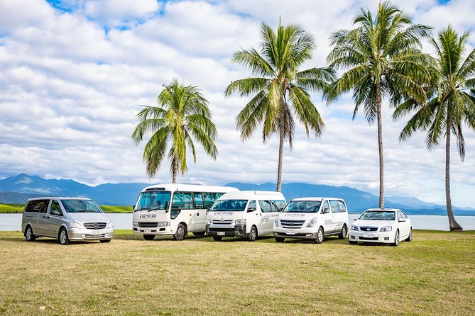 Airport Transfers Between Cairns Airport and Cairns City - Overview of the Service