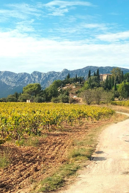 Aix: Well-Being Day: Nature, Yoga, Picnic & Wine Tasting
