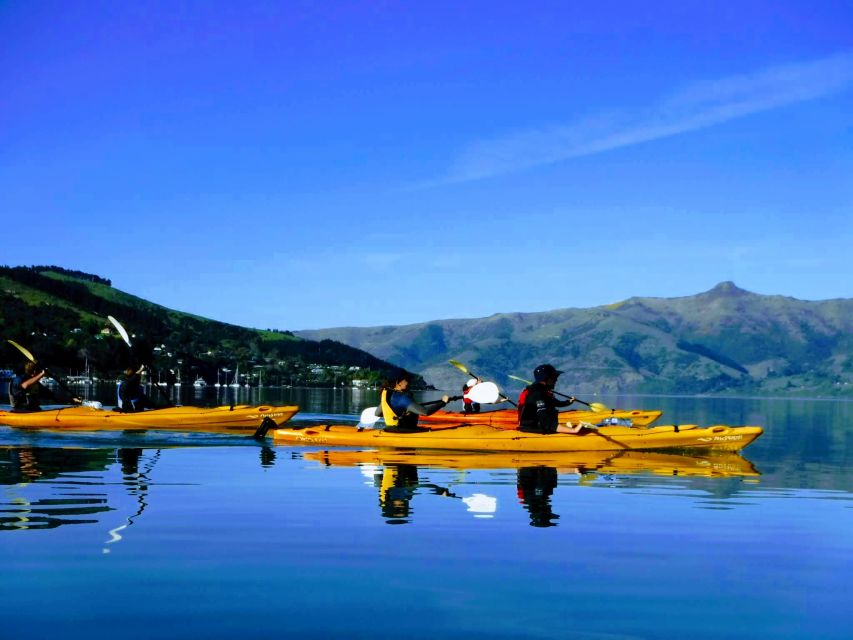 8 Best Canoe And Kayak Experiences In Akaroa