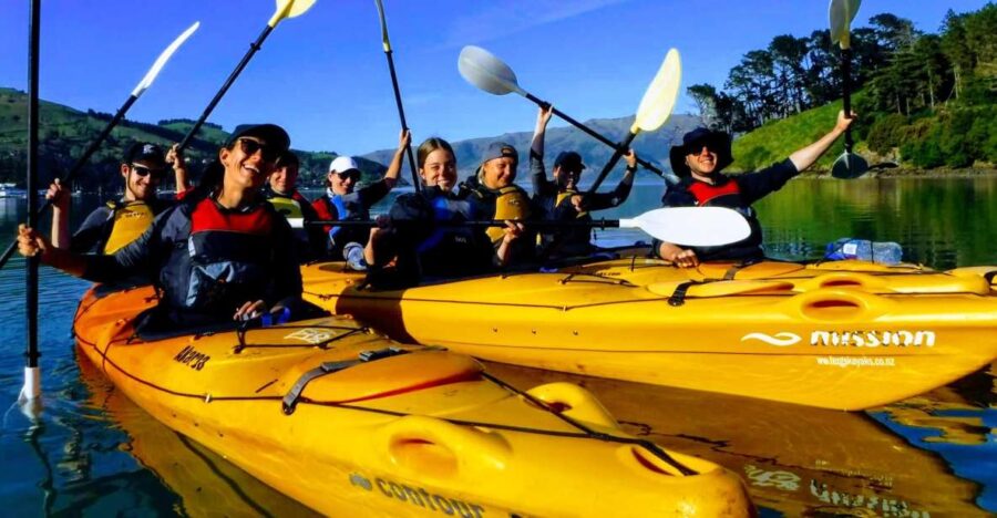 Akaroa: Electric Mountain Bike and Sea Kayak Adventure