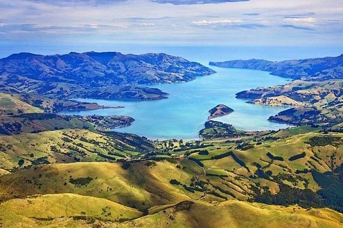 5 Best Full-Day Tours In Christchurch