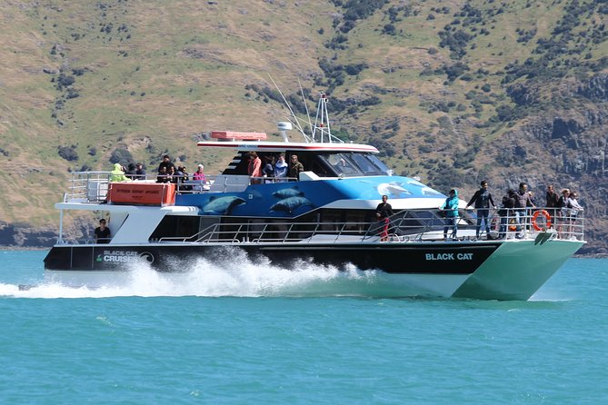 Akaroa Harbour Nature Cruise