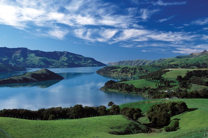 Akaroa Shore Excursion: Banks Peninsula, Christchurch City Tour and Willowbank Wildlife Reserve