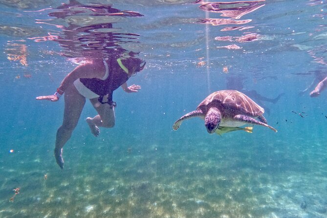2 Best Photography Experiences In Akumal