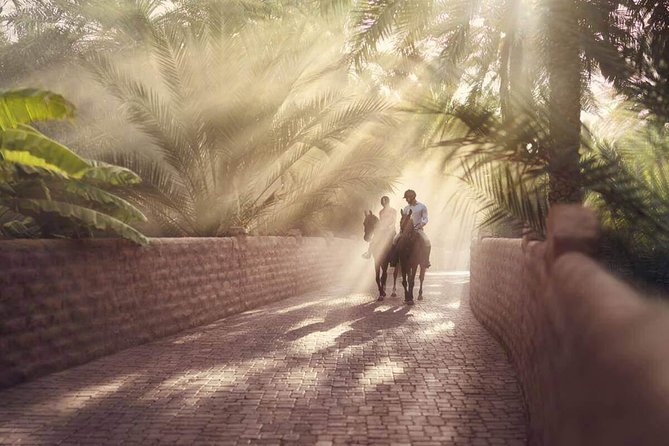 Al Ain City Tour From Dubai - Overview of the Tour