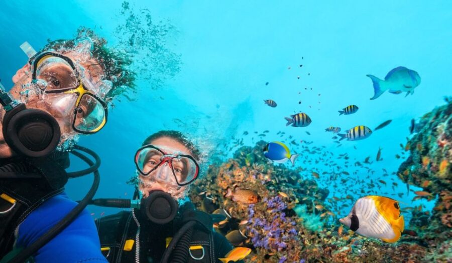 Alanya: Scuba Diving Tour With Lunch - Tour Overview