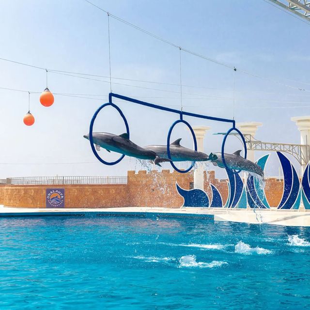 Alanya: Sealanya Dolphinpark Dolphin Show Tour