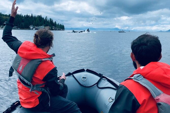 6 Best Cruises And Boat Tours In Ketchikan