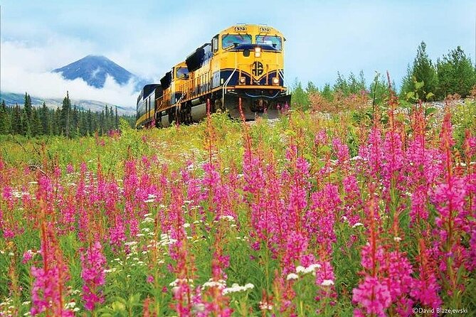 Alaska Railroad Denali to Fairbanks One Way