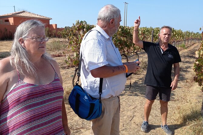 Albufeira Tour: Winery Wine and Tapas Boards