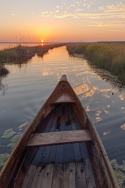 Albufera: Boat Ride With Valencian Wine Tasting & Tapas