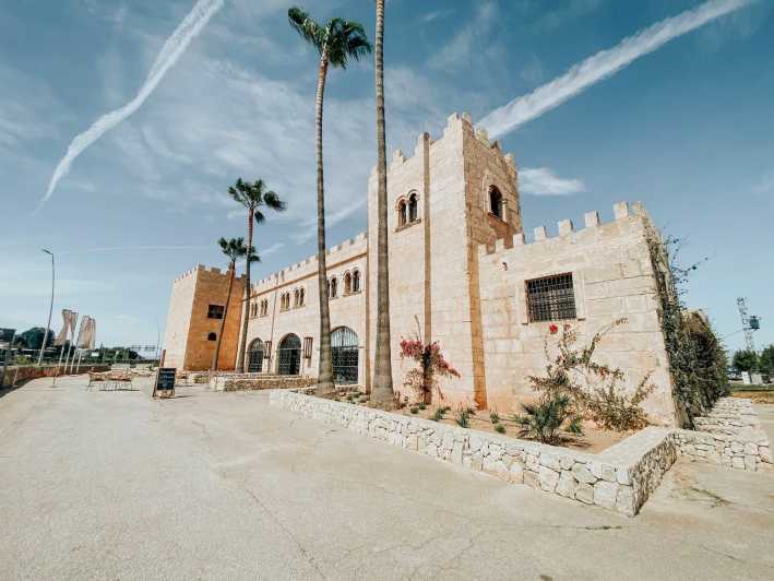 Algaida: Vinya Tribaneli: Wine Making and Tasting Experience