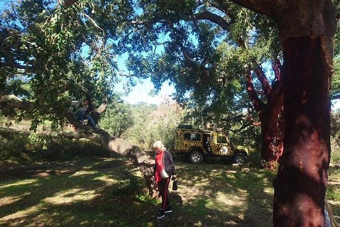 Algarve Half Day Jeep Safari (PRIVATE TOUR)