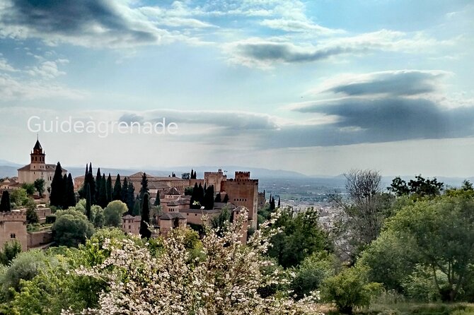 Alhambra Private Tour: Nasrid Palaces and Generalife