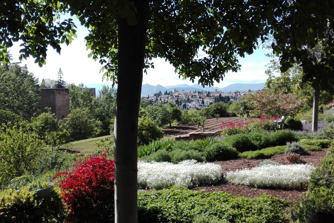 Alhambra Private Tour (Without Tickets) Total/Group Max 15 People
