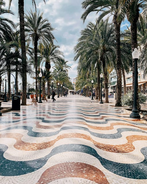 Alicante: City and El Palmeral Tour on City Bike