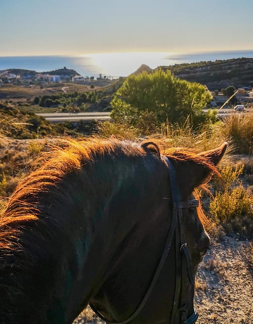 Alicante: Villajoyosa 2-hour Horseback Riding Tour