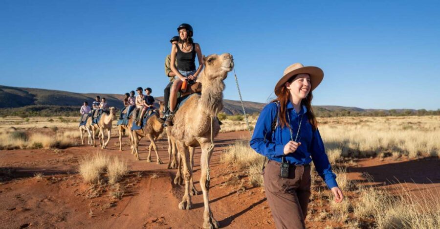 Alice Springs: Guided Outback Camel Ride - Activity Overview