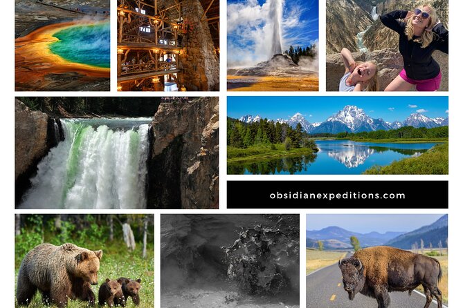 All-Day Tour of Yellowstone National Park