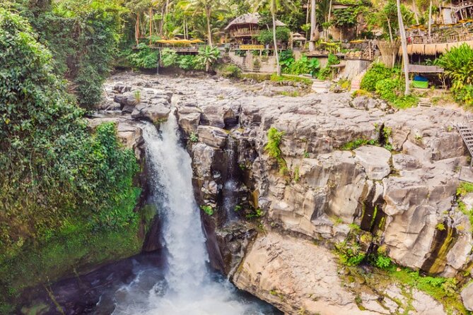All-Inclusive 1-Day Ubud Tours - Tour Overview