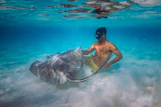 All Inclusive Cozumel: Coast & Relax 4hrs Luxury Yacht - Overview and Pricing