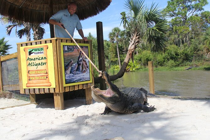 All Inclusive Florida Everglades Airboat Tour + Wild Florida Day With Transport - Tour Overview