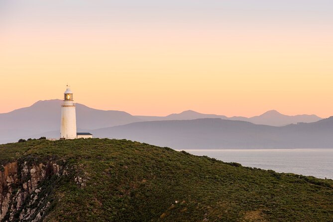 All Inclusive Private Bruny Island Discovery Tour