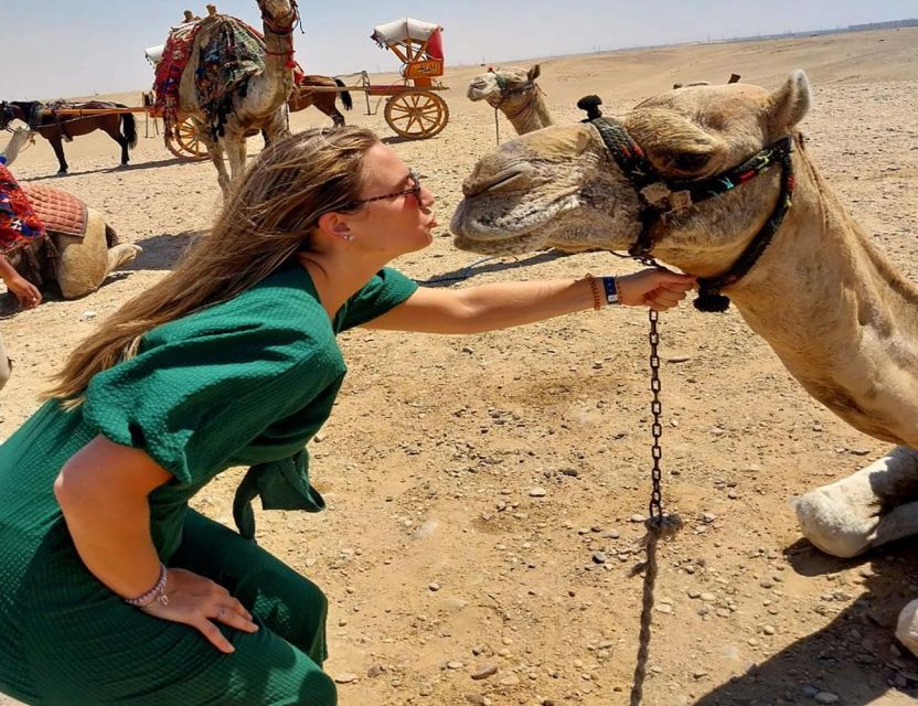 All-Inclusive Private Trip Pyramids Sphinx, Camel, VIP Lunch - Tour Overview and Pricing