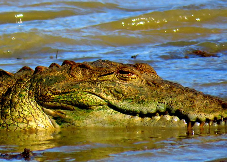 All Inclussive Udawalawa National Park Safari From Colombo